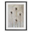 «Neutral Dandelion Illustration», reproduction encadrée sous verre, par Petal Prints Design-2117434437-2117434436