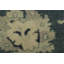 Rug & Kilim’S Oushak Style Rug In Blue, Gray And Cream With Medallions