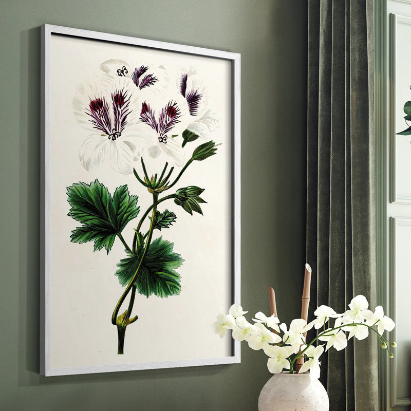 Reproduction encadrée Antique Floral Fangle IX - bois massif, Blanc, H 14 po x l 11 po