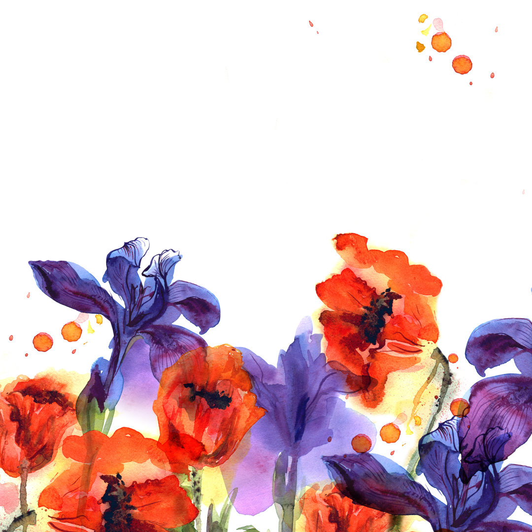 Aquarellblume aus Mohn und Schwertlilien - Leinwandbild