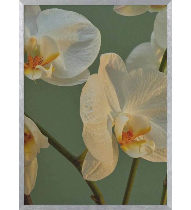 "Floral Haven", art mural texturé encadré, Argent, H 14 po x l 10 po