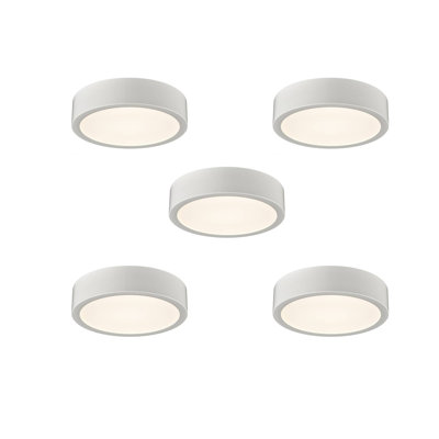 Lilleeana Acrylic LED Flush Mount