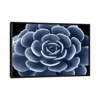 «Succulent IV», impression sur toile