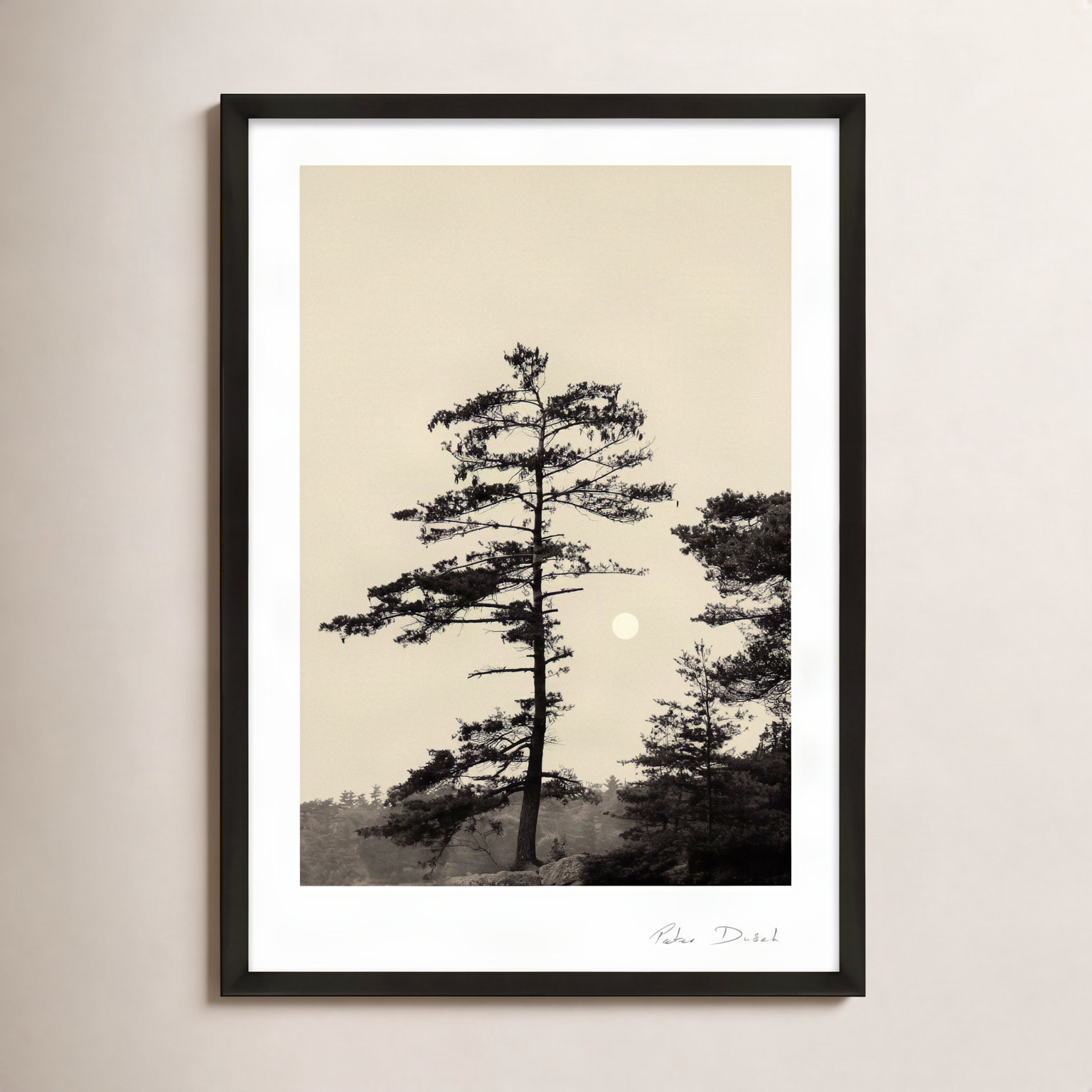 Garden Sign "Serenity" Print by Peter Dušek, 50" H x 35" W x 1.25" D, Black