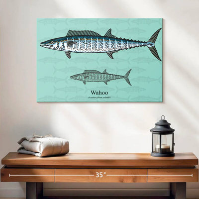 Wahoo Brampt