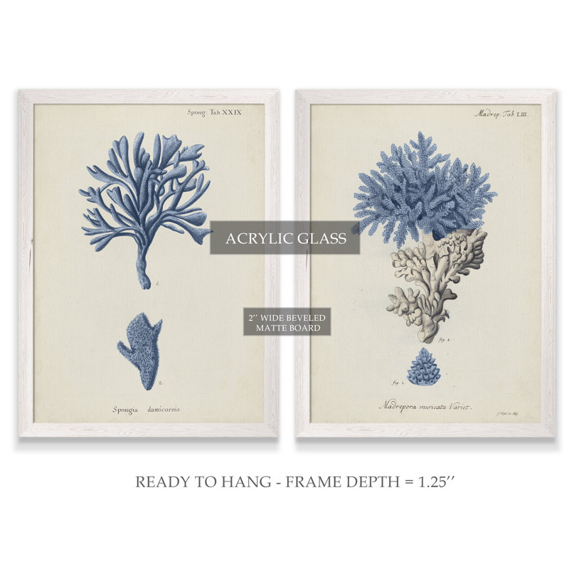 « corail antique en bleu marine iii » par vincent van gogh, ensemble de 2 reproductions d’art sur cadre photo, Pas de tapis