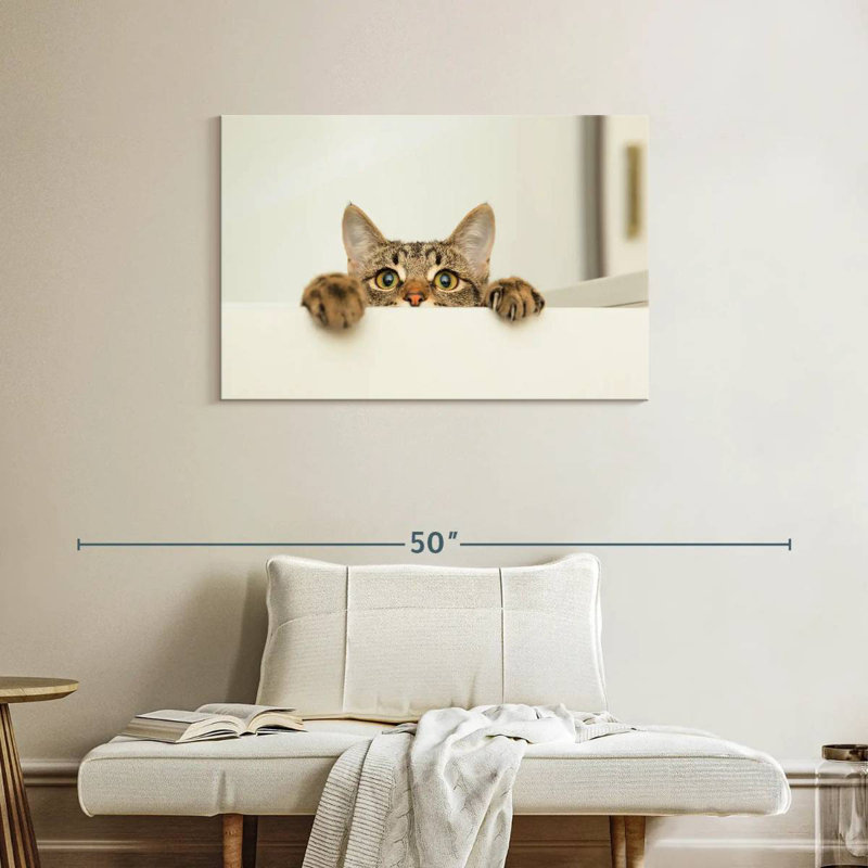 Peeking Young Cat, 24" H x 36" W