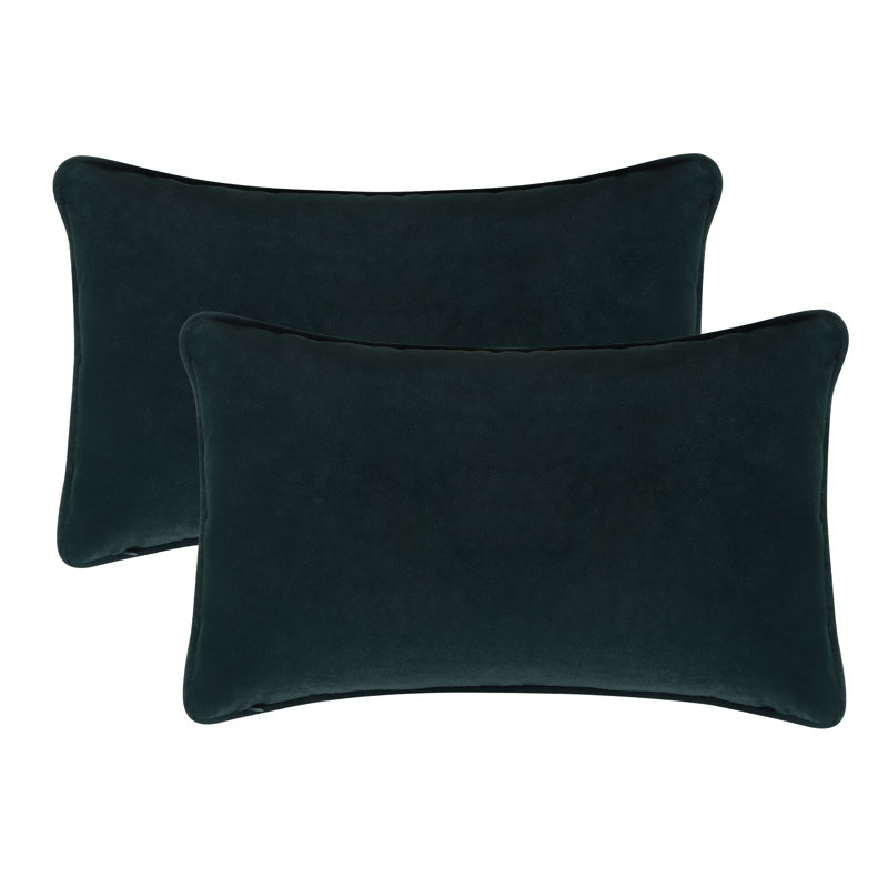 A1HC Set of 2 Luxurious Velvet Throw Pillow Covers — Soft Decorative Cushions with Hidden Zipper, Aqua Blue, 12" x 20"