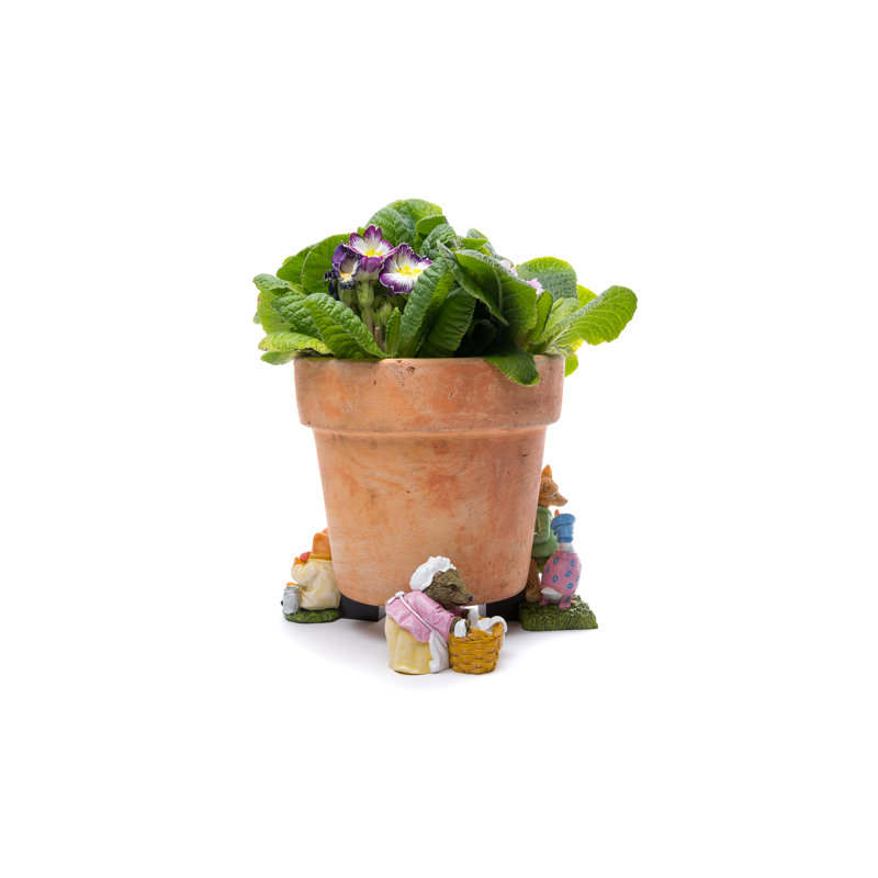 Pieds de jardinière colorés Beatrix Potter Jemima Puddleduck dans une boîte cadeau