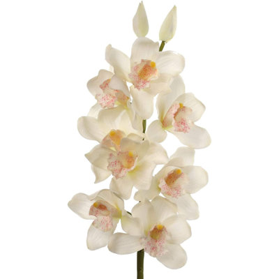 30" Tall Cymbidium Stem with 10 Flowers