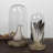 Ravneet Abstract Dove Bird Wood Sculpture