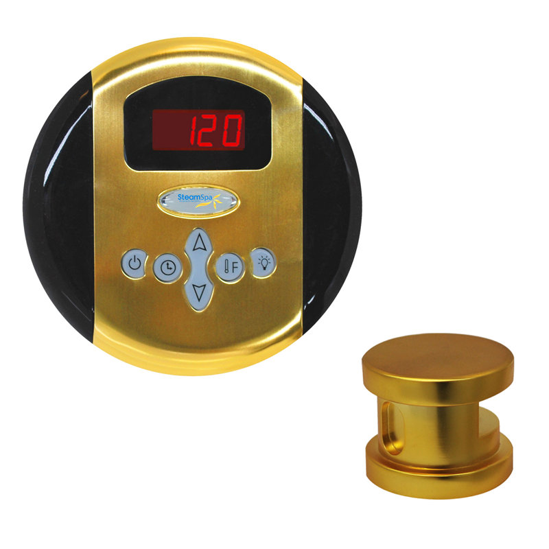 Steam Generator Control, Gold