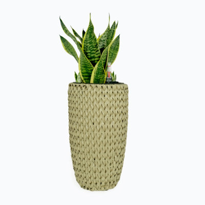 Pot à fleur Barmore