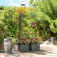Planter