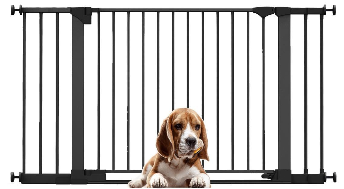 Archie & Oscar Metal Pressure Mounted Pet Gate | Wayfair.co.uk