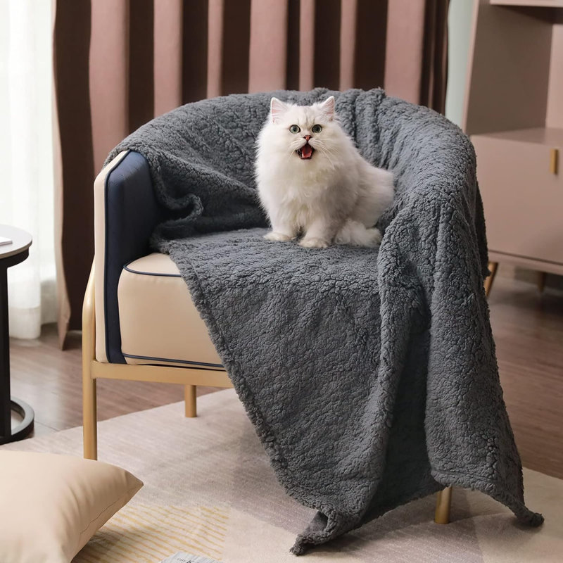 Couverture d'extérieur pour animaux, 41 po x 31 po, Gris