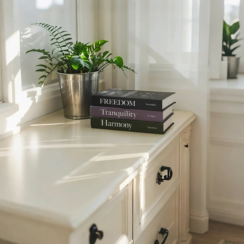 Ensemble de 3 faux livres de table basse, livres décoratifs Serene Nature Landscape pour bibliothèque, manteau de cheminée, vestibule, décoration d'intérieur