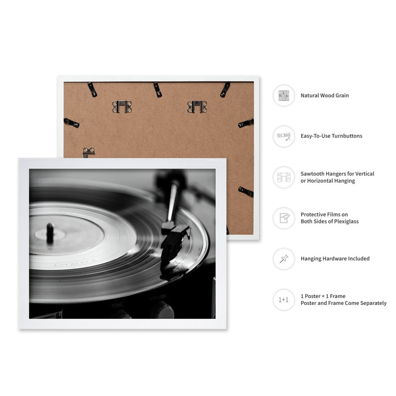 Flat Disc Vinyl Record, Poster, White Framed, 16"H x 20"W