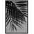 Black Framed selected
