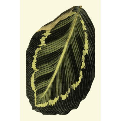 Grandiose Leaves IV - Wrapped Canvas Print