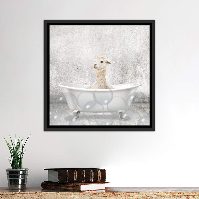 «Baby Llama Bath» par Kimberly Allen - impression d'art graphique, H 26 po x l 26 po x P 1,5 po, Toile avec cadre noir patiné