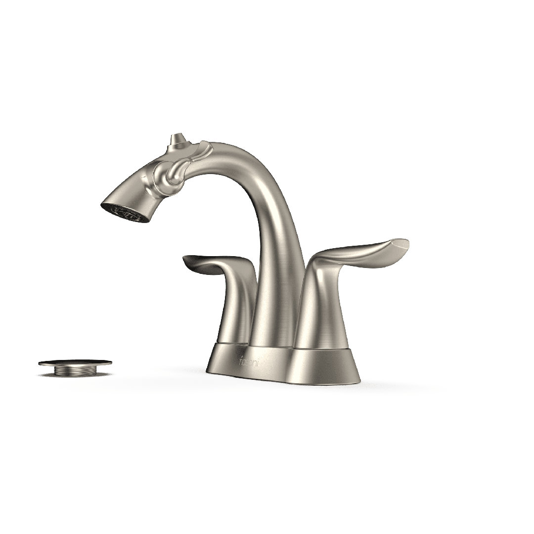 Nasoni Centerset Bathroom Fountain Faucet with Drain Assembly and Filter Nasoni