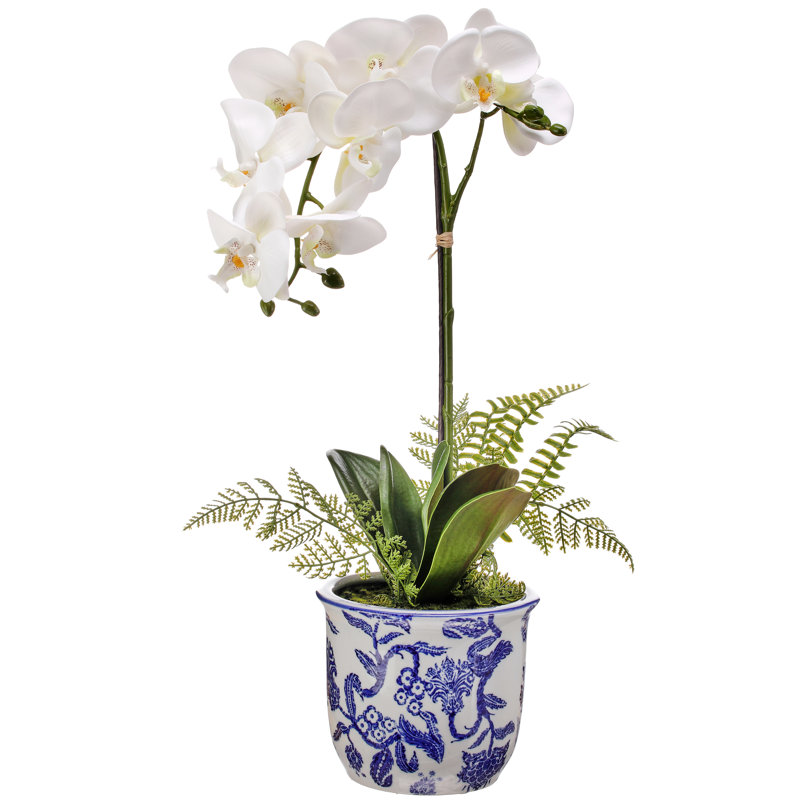 Arrangement floral orchidée en pot