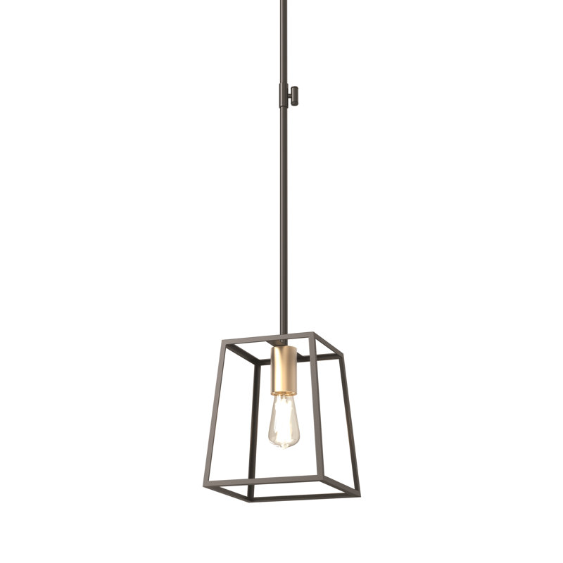 Taryn 1 - Light Single Pendant, Black/Brass