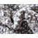 Barlet Cotton Indoor Rug