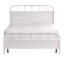 Lit standard Amichai-1663227719-1663227769