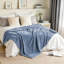 Léger à rayures - jeté en molleton doux de 300 g / m², couverture à rayures décorative et cadeau pour canapé, lit, canapé et salle de climatisation.-123492147-123628459