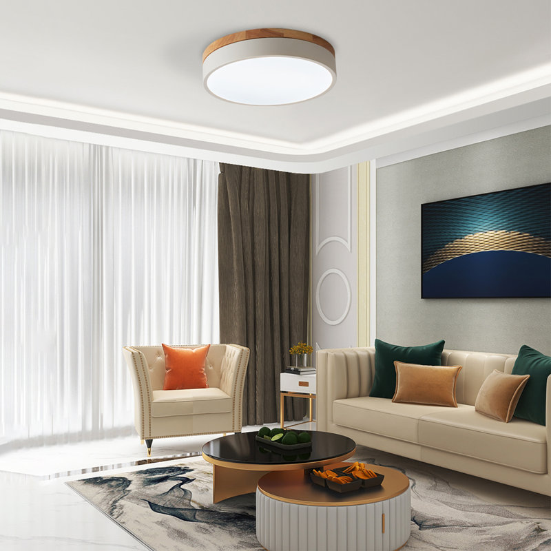 Circle Modern Led Flush Mount Ceiling Light, 6500 Kelvins, Silver