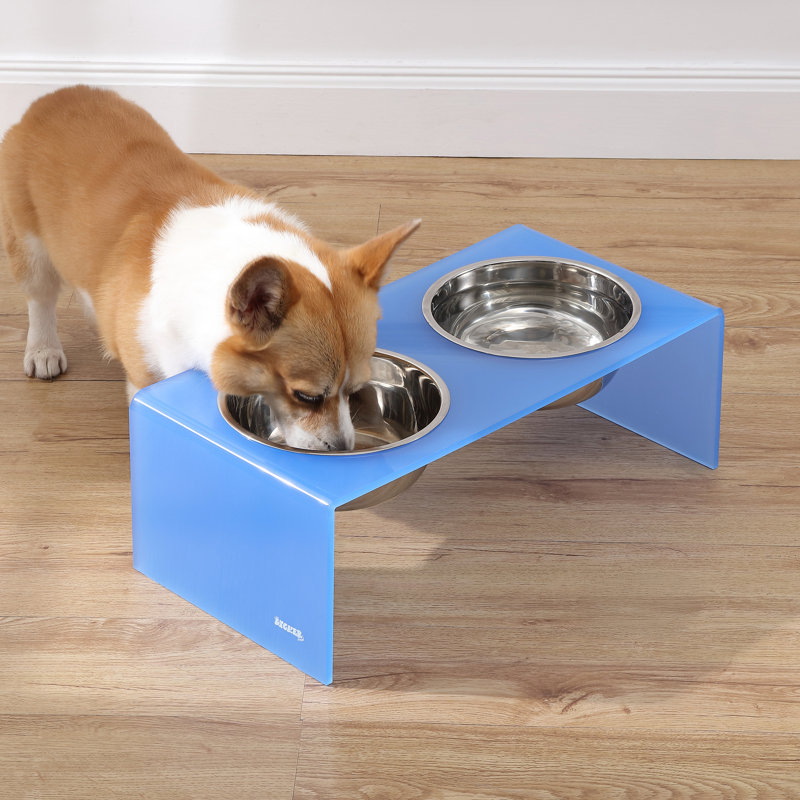 Mangeoire pour animaux Keaton, Moyen (6,76 tasses / 54 oz liquides), Bleu / chrome