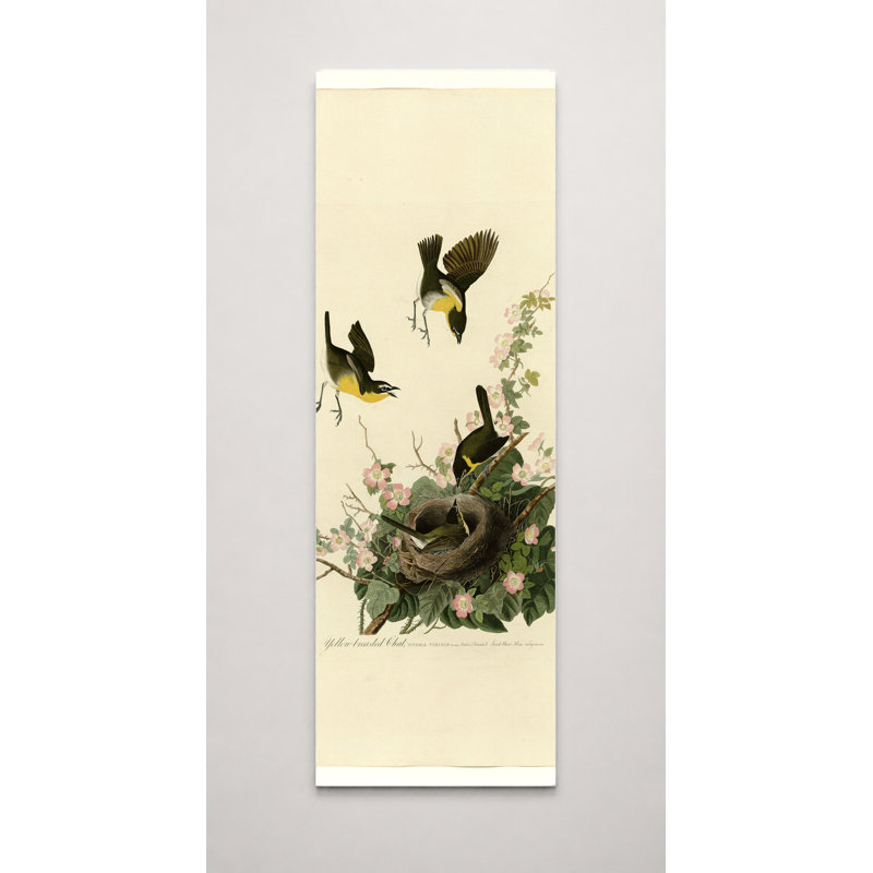 Art mural sur toile, "Chat à poitrine jaune", planche 137, 36" W x 12" H