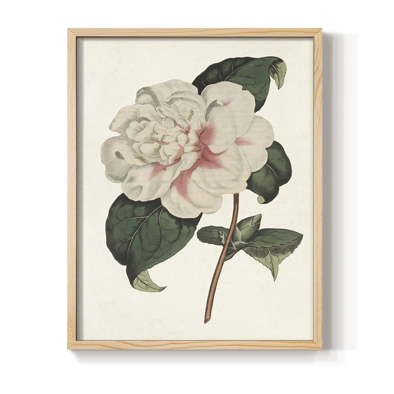 «Pink Floral Mix», reproduction encadrée en bois massif