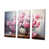 Toile tendue