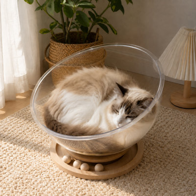 Acrylic Space Capsule Cat Bed – Clear Bubble Lounge