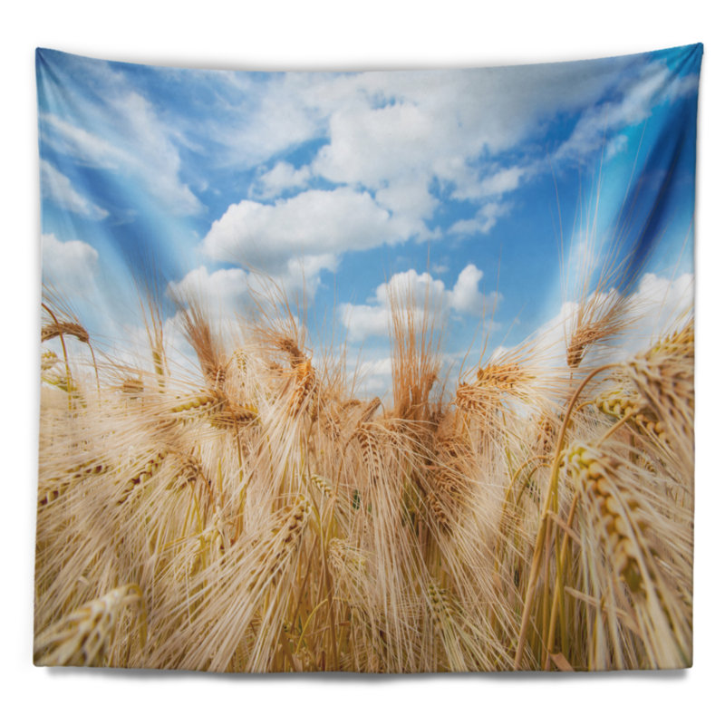 Tapisserie paysage champ d'orge sous ciel bleu, H 32 po x l 39 po