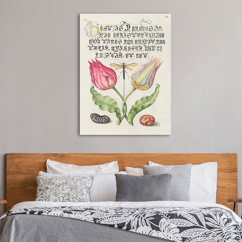 From The Model Book Of Calligraphy, I by Bocskay Hoefnagel - Art Prints on Canvas, 70cm H x 50cm W x 4cm D