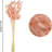 17.4'' Faux Pampas Grass Grass