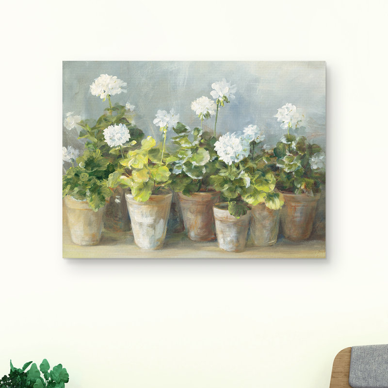" White Geraniums "