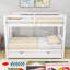 Lit simple superposé simple / double avec lit gigogne simple-1543130810