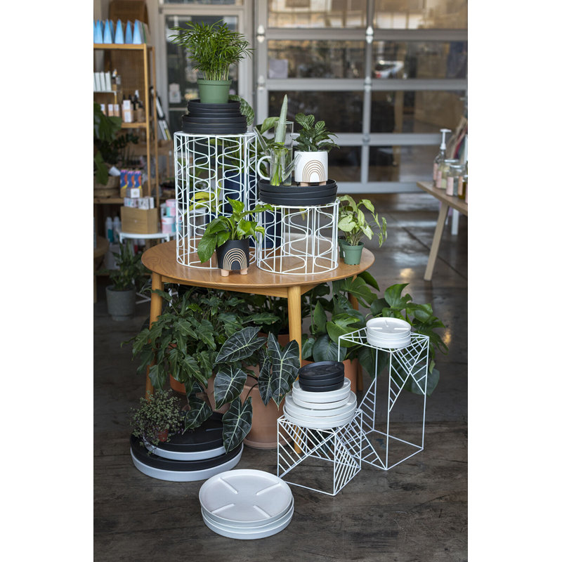 Noha Saucer Plant Stand, White, 1.25" H x 13" W x 13" D