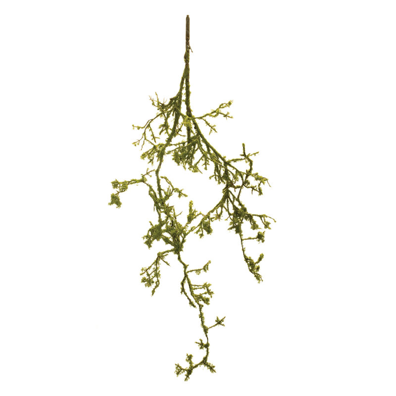 Mossy Twig Branch Vine