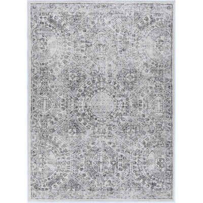 Oriental Indoor Rug