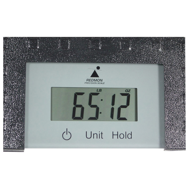 Redmon Digital Physician Scale