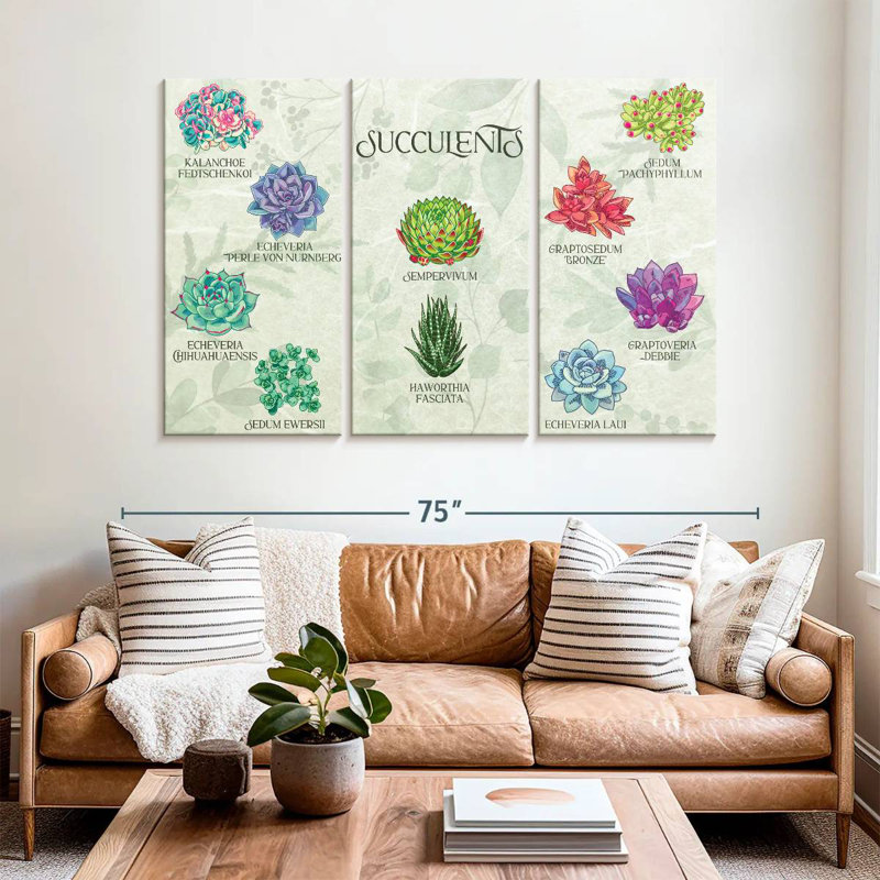 Harnek Succulents Chart, 42" H x 65" W