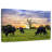 Brampt Grazing Aberdeen Angus-106307594