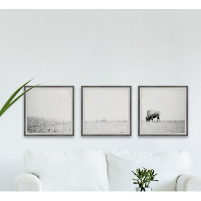 «Distant Grazing II» par Marmont Hill - Ensemble de 3 reproductions de cadres photo sur papier