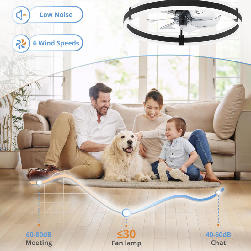 19.7 inch Low Profile Ceiling Fans with Lights and Remote, Black